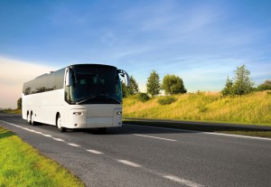 charter bus rentals