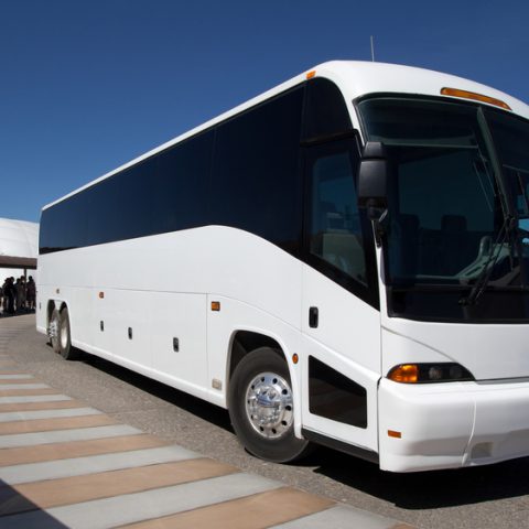 charter bus rentals